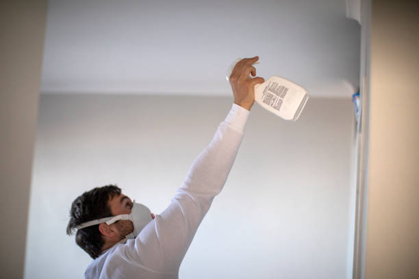 Best Mold Remediation  in Elmendorf, TX