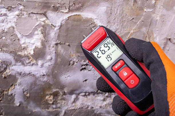 Best Mold Cleaning Services  in Elmendorf, TX